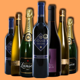 轰炸电话在线下单